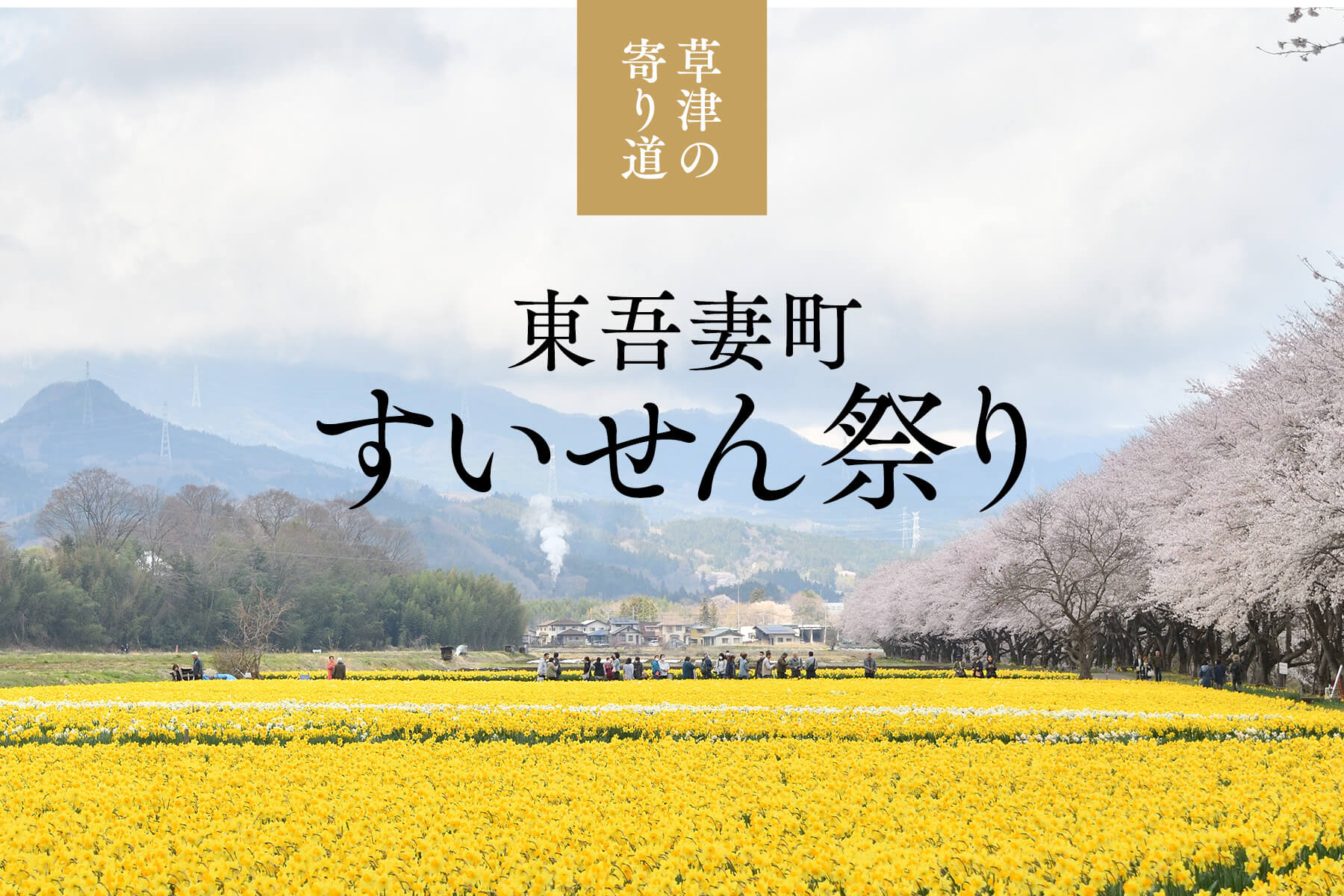 草津の寄り道 東吾妻町すいせん祭り